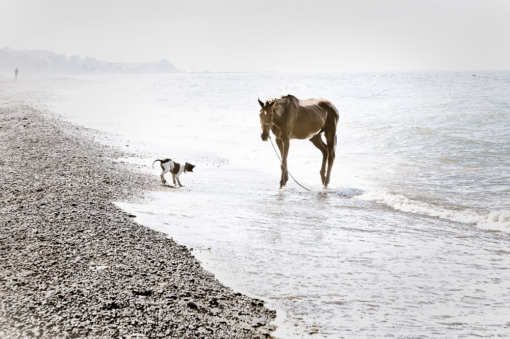 Morning in Milos beach