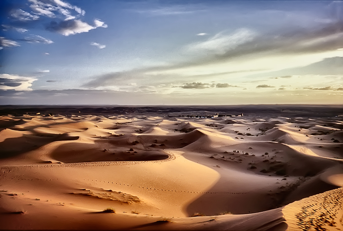 Una passeggiata tra le dune del Sahara